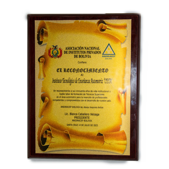 50 años emitida por la asociación nacional de institutos privados de bolivia "ANDINACEP"- NACIONAL